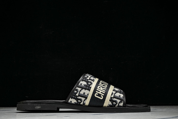 D10r SLIDES DS-0100