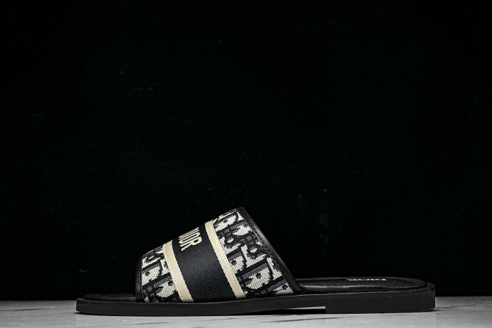 D10r SLIDES DS-0100
