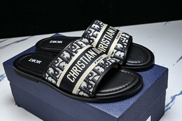 D10r SLIDES DS-0100