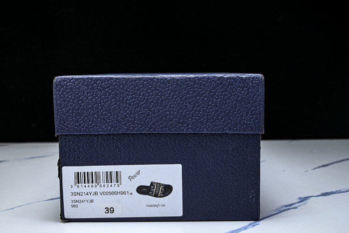 D10r SLIDES DS-0100