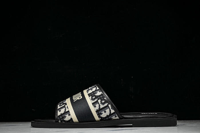 D10r SLIDES DS-0100