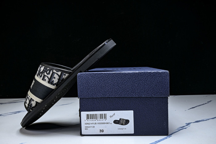 D10r SLIDES DS-0100