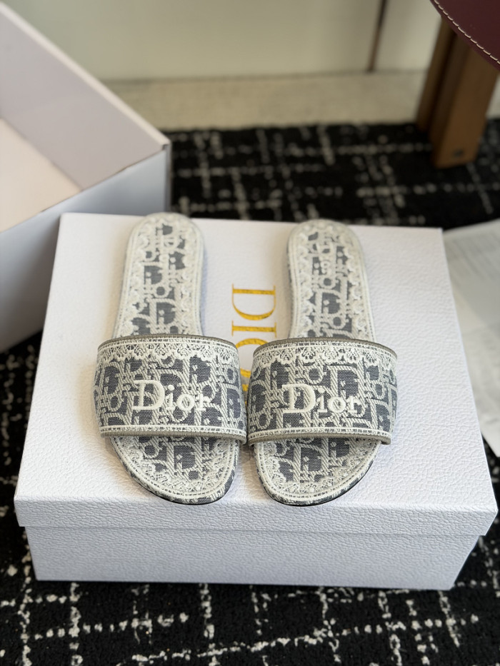 D10r SLIDES DS-0104