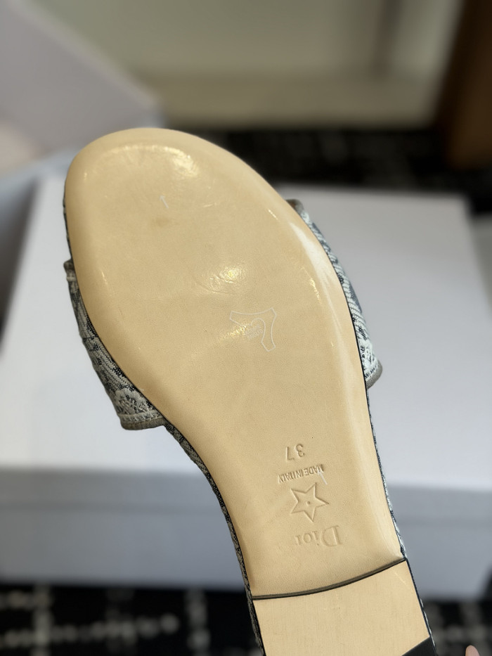 D10r SLIDES DS-0104