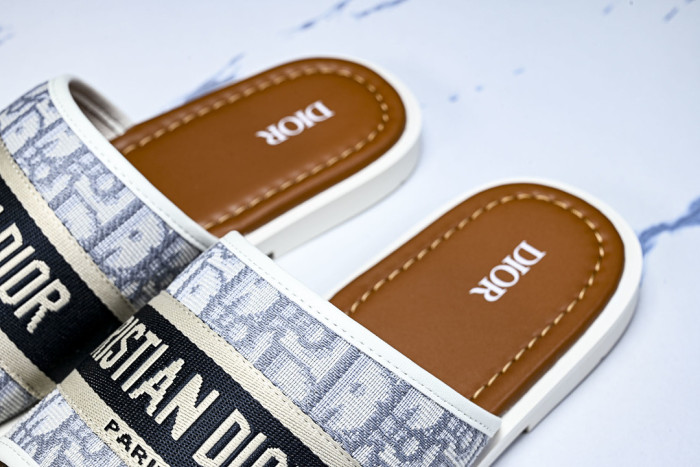 D10r SLIDES DS-099