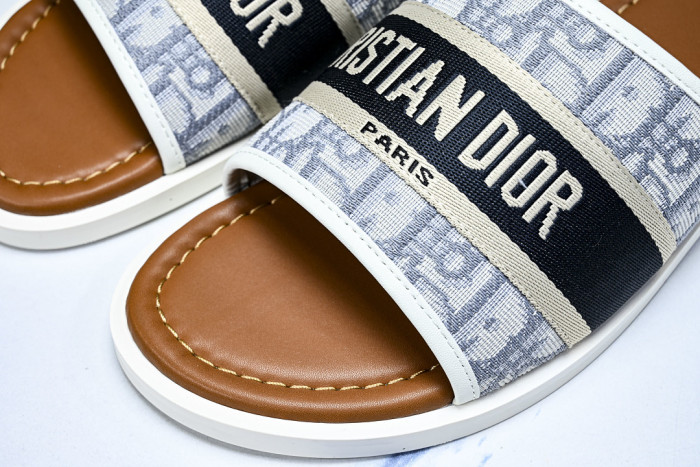 D10r SLIDES DS-099