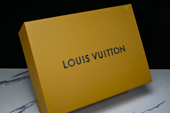 LOU VUIT RUNNER LVR-024