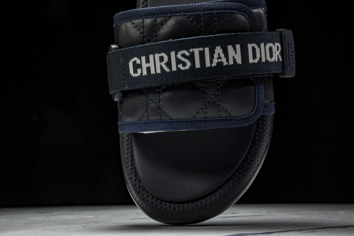 D10r slides ds-080