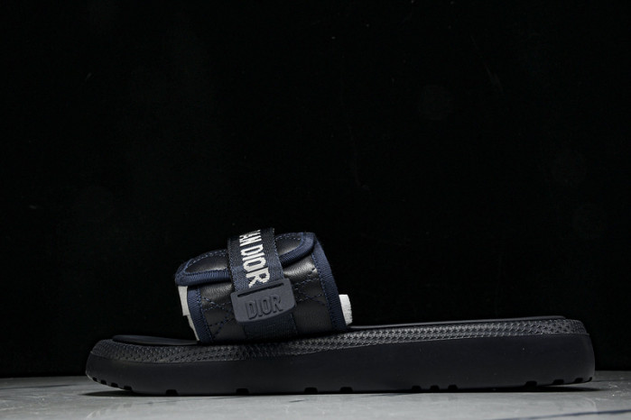 D10r slides ds-080
