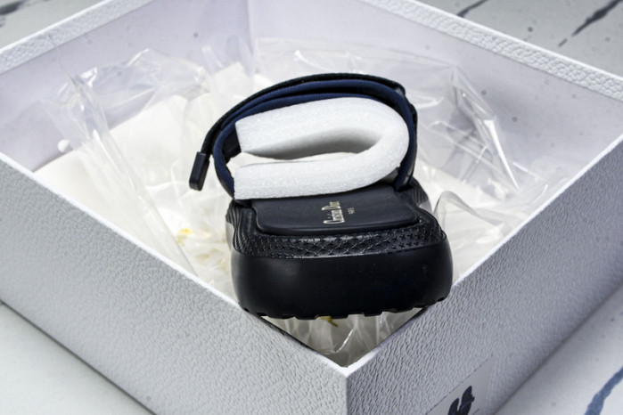 D10r slides ds-080