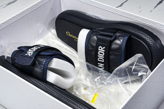D10r slides ds-080