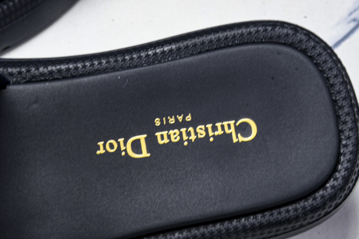D10r slides ds-080