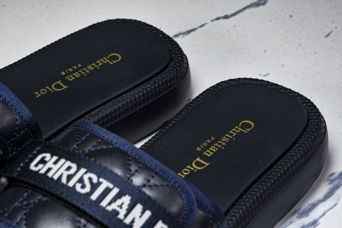 D10r slides ds-080