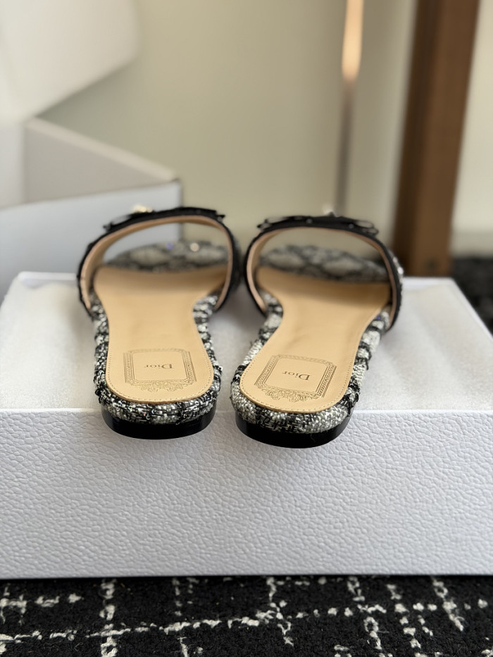 D10r SLIDES DS-0149