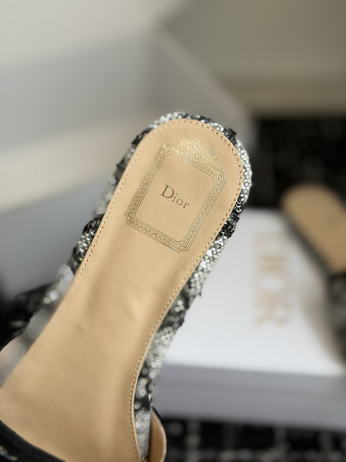 D10r SLIDES DS-0149