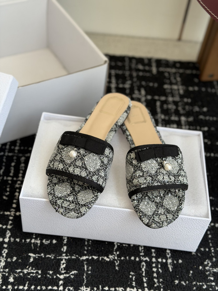 D10r SLIDES DS-0149