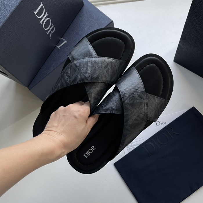 D10r slides ds-043
