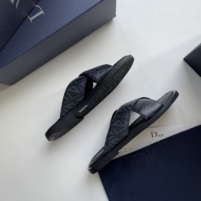 D10r slides ds-043