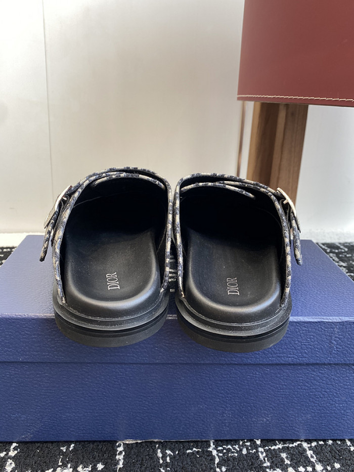 D10r slides ds-077